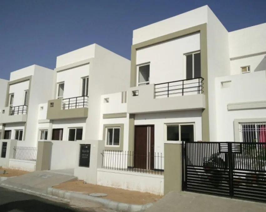 Okay Plus Exotica Greens