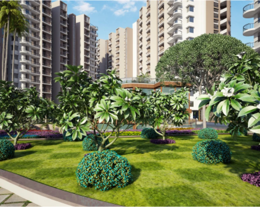 Unique Green Meadows