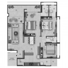 pi7_adani_augusta_fp3.jpg