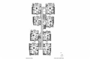 pi7_aparna_kanopy_marigold_fp01.png