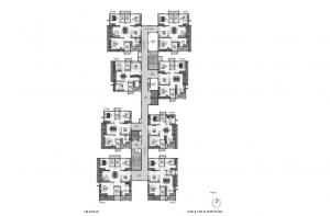 pi7_aparna_kanopy_marigold_fp04.png