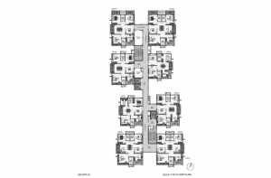 pi7_aparna_kanopy_marigold_fp07.png