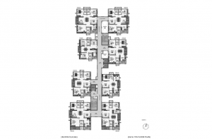 pi7_aparna_kanopy_marigold_fp11.png