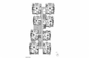 pi7_aparna_kanopy_marigold_fp15.png