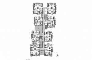 pi7_aparna_kanopy_marigold_fp17.png